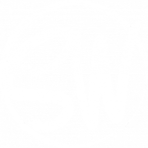 Steph Wise Logo