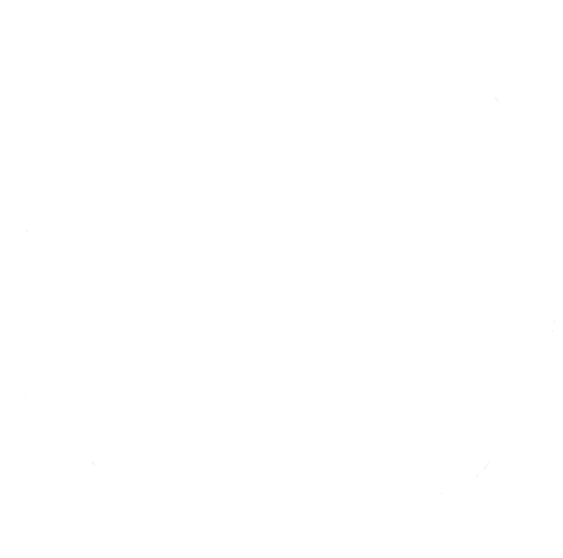 Steph Wise Logo Steph Wise Logo
